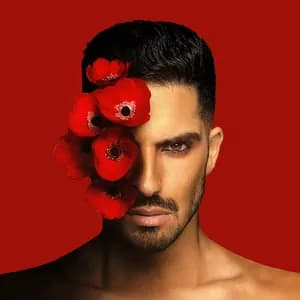 מיכאל בן דוד avatar