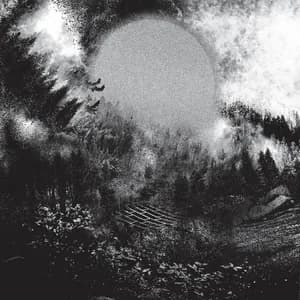 Private Prisons avatar