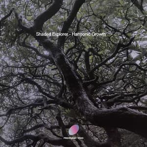 Shaded Explorer avatar