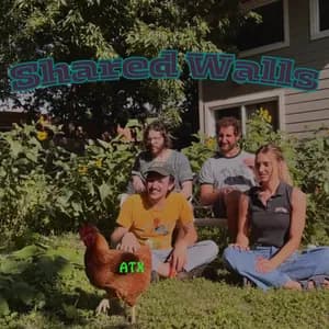 Shared Walls avatar