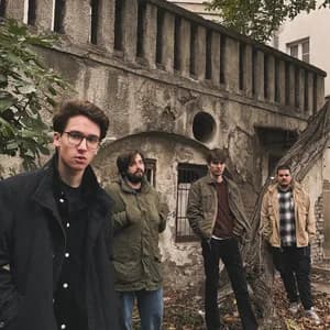 Cactus Fields avatar