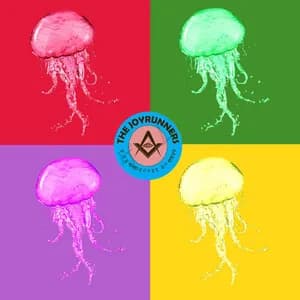 The Joyrunners avatar