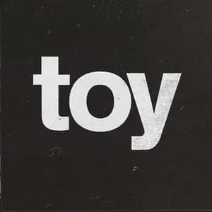 TOY avatar