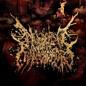 Numbered With The Transgressors avatar