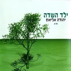 יהודה אליאס avatar