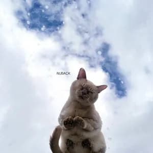 NUBACK avatar