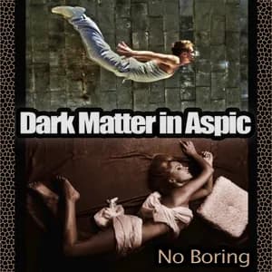 Dark Matter in Aspic avatar
