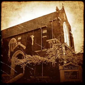 Lions & Lambs avatar