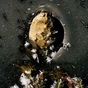 Laurent Corbec avatar