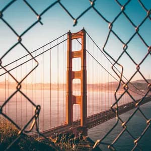 Lia Riggs Trio avatar