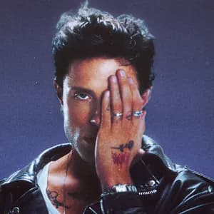 Cardellino avatar