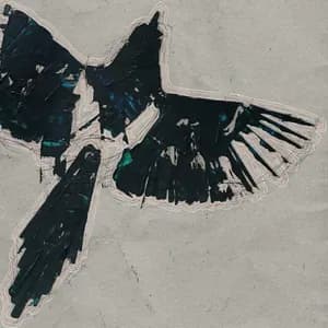 Peter J. McCauley avatar