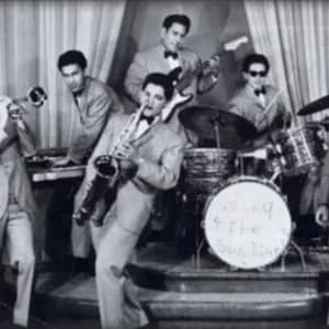 Sunny & the Sunliners avatar