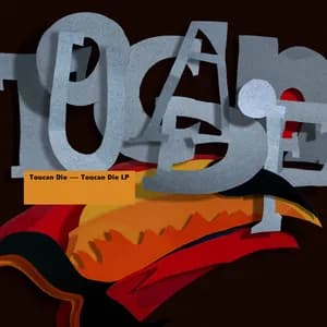 Toucan Die avatar