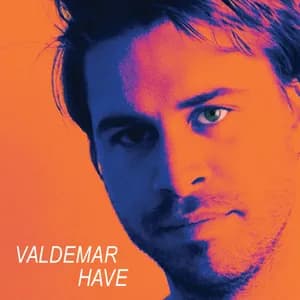 Valdemar Have avatar