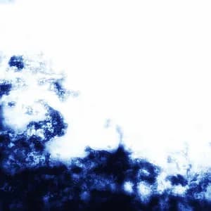 Stephanie Merchak avatar