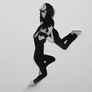 Wildbirds & Peacedrums avatar