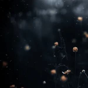 Lednik Frontier avatar