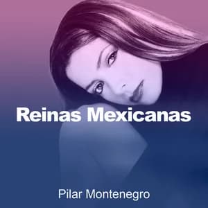 Pilar Montenegro avatar