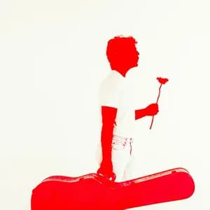 Stop Light Observations avatar