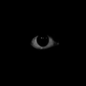 äbvsd avatar