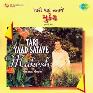 V. Balsara avatar