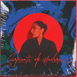 Ana Tijoux avatar