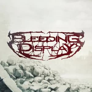 Bleeding Display avatar