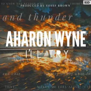 Aharon Wyne avatar