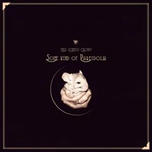 This Lonely Crowd avatar