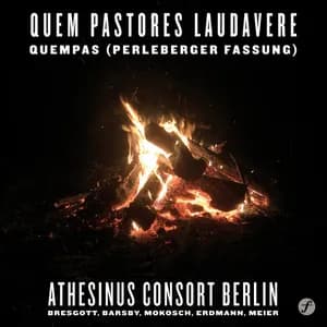 Nikolaus Herman avatar