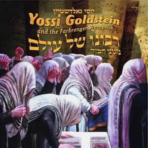 Yossi Goldstein avatar