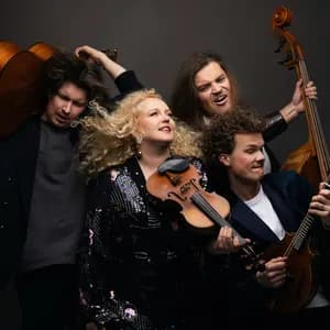 Curly Strings avatar