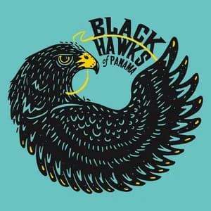 Black Hawks of Panama avatar