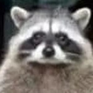 entertextinthe avatar