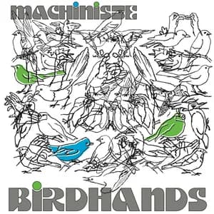 BirdHands avatar