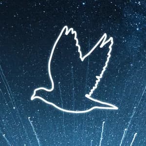 Intelligent Music Project avatar