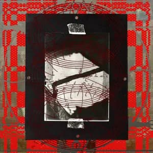 Rojin Sharafi avatar