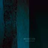 A Declaration of Mistrust