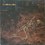 Smok do Pacyfika w tym świecie okrutnym