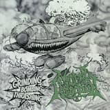 Deformed by Brainwashing