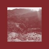 I Watched the World Burn Without Leaving My Home