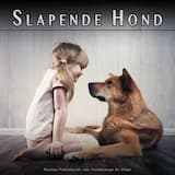 Beste Hondenslaap Muziek