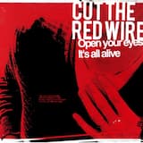 Every Bit of Waking Life