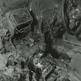 Balm (After Violence)