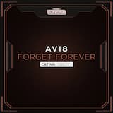 Forget Forever (Original Mix)