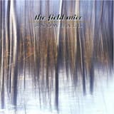 This Love Is Not Wrong