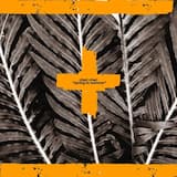 Flow Dub Outta Borneo