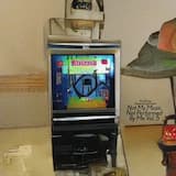 I Remind Most People of The Who’s 1978 Classic Because They Always Tell Me Who Are You