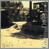 Progetto numero 3: Minuetto per Isabella Rossellini (Ovvero la predizione della vellutata perdizione)